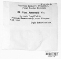 Leucostoma auerswaldii image